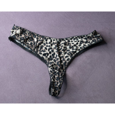 Scoopcake Tanga Leoprint